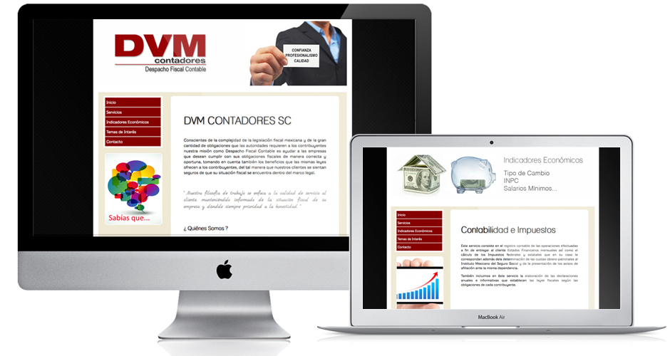 dvm
