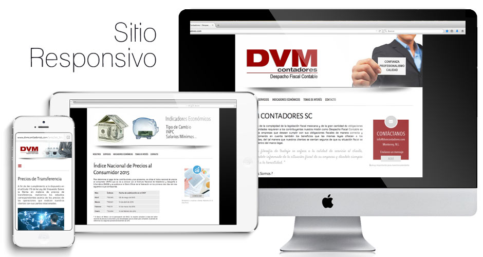 dvm